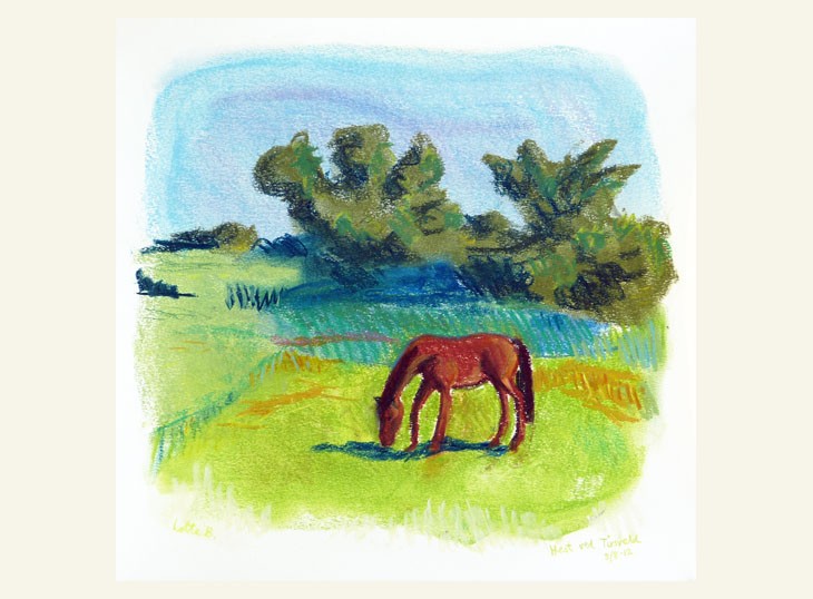 Hest ved Tirsvæld